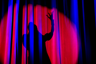 Reuben Kaye's shadow
Berlin Burlesque Festival 2014